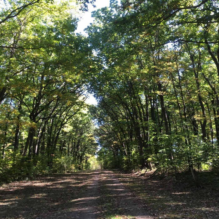 Herron Road Near Hoffman Park Loop