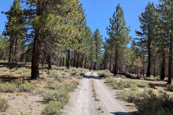 Forest Service Road 2S40