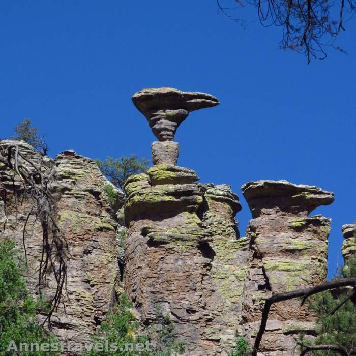 Near Mushroom Rock Trail