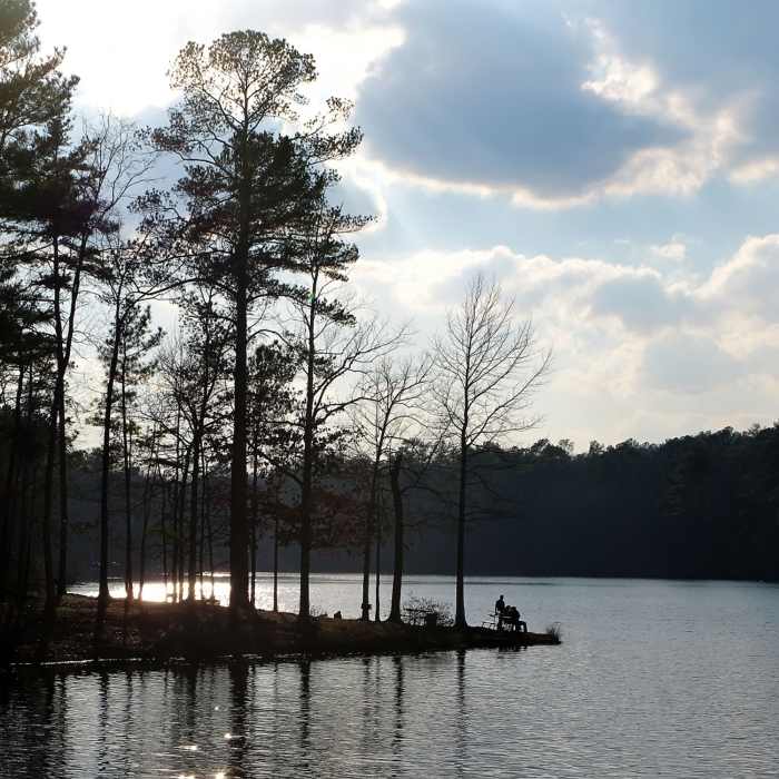 Oak Mountain State Park Near Treetop Nature Trail