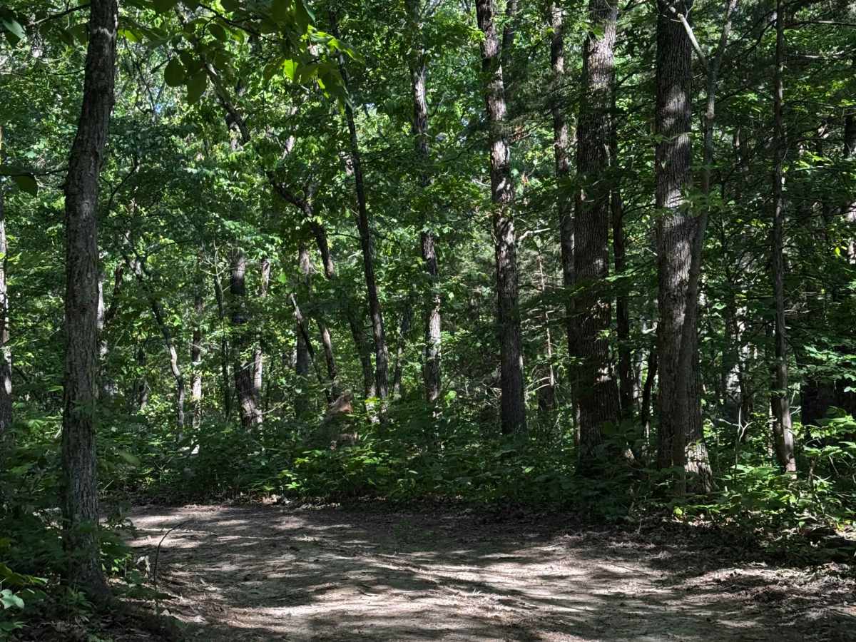 East Inner Trail 4 photo 3