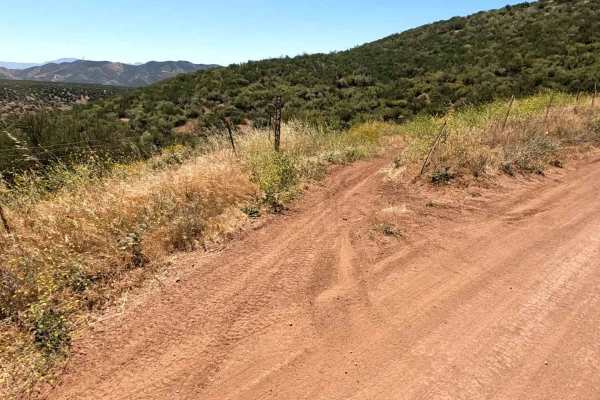 Spring OHV Trail