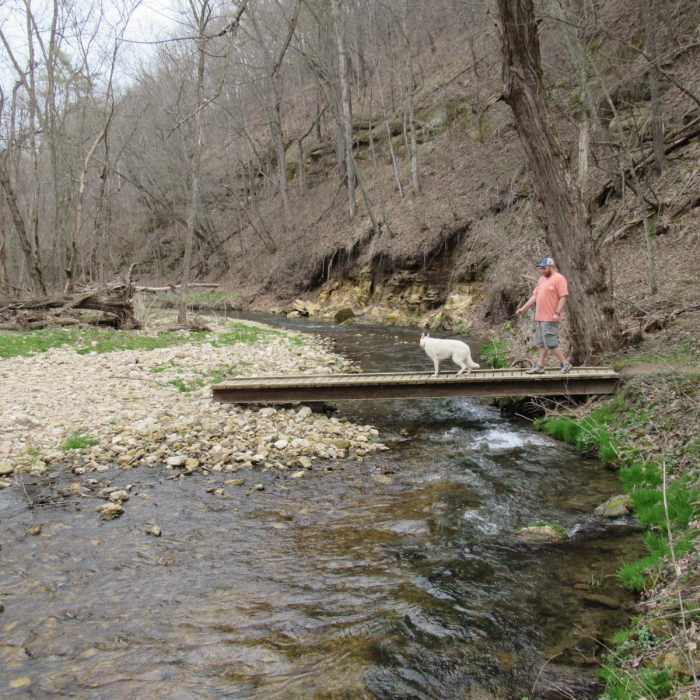 Near Beaver Creek Valley Trail Near Beaver Creek Valley Trail