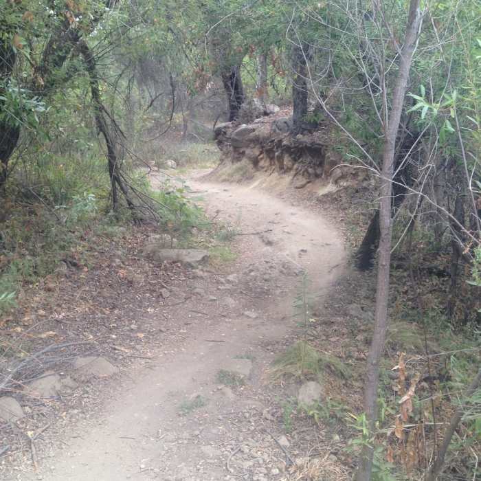 Near Cheeseboro Ridge & Cheeseboro Canyon Trail