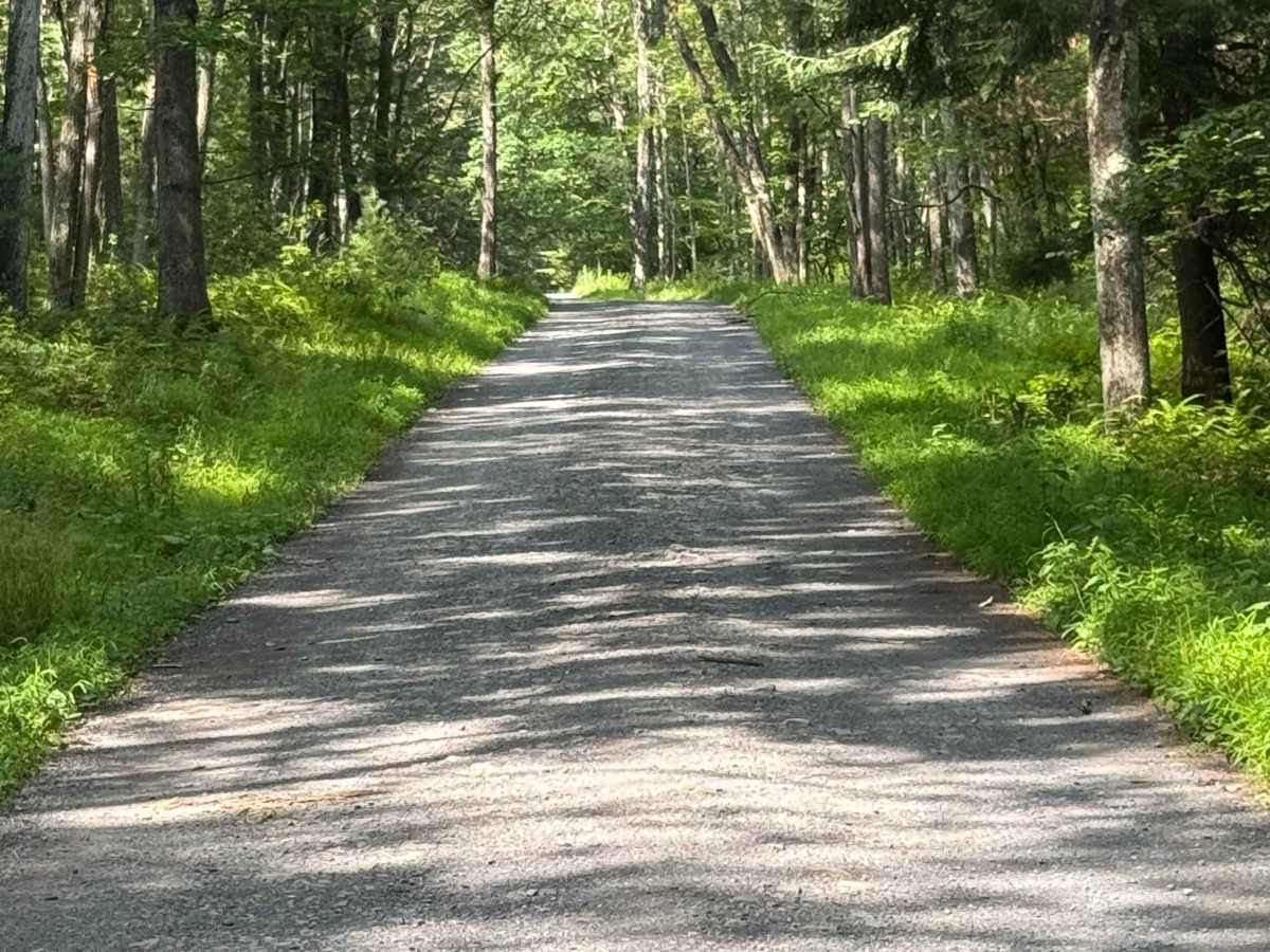 Old Post Office Road photo 6