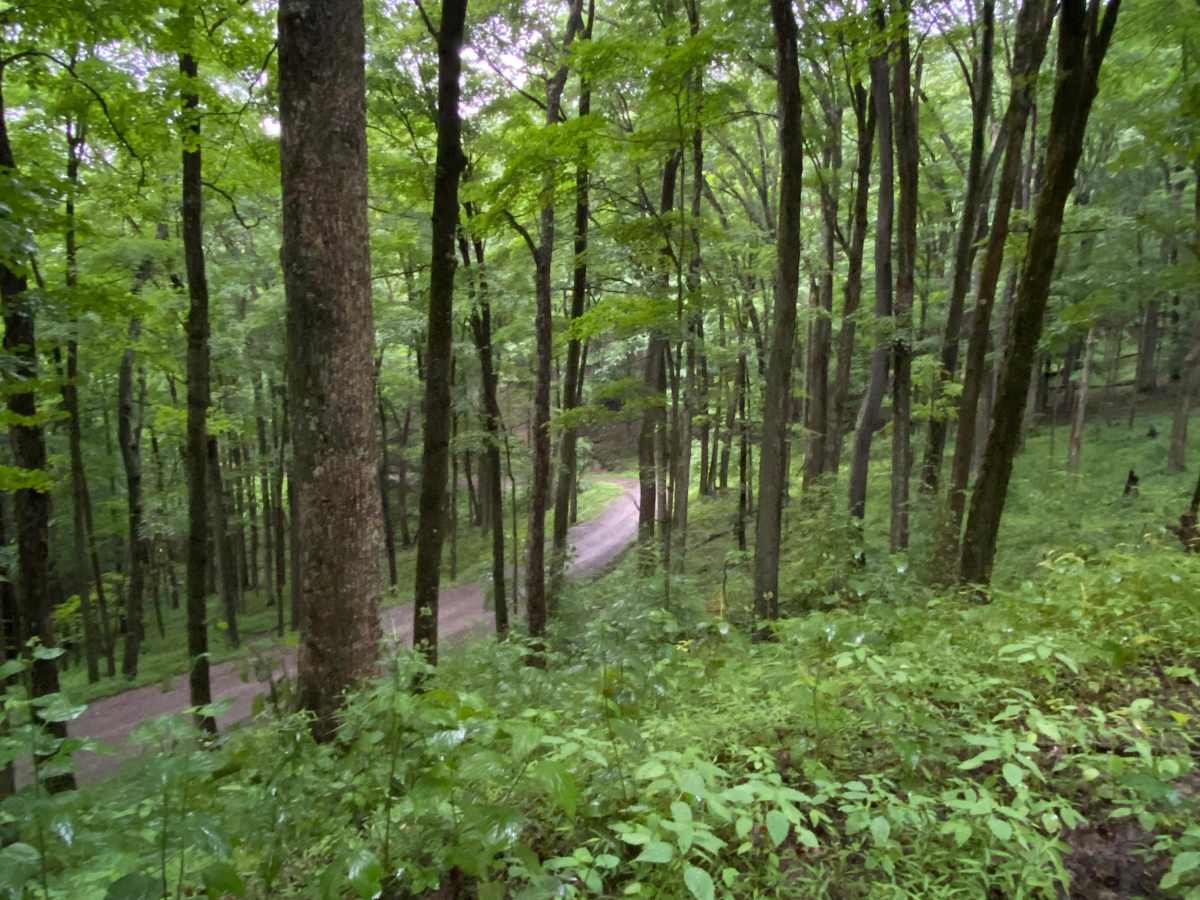 Close Mountain Road photo 5