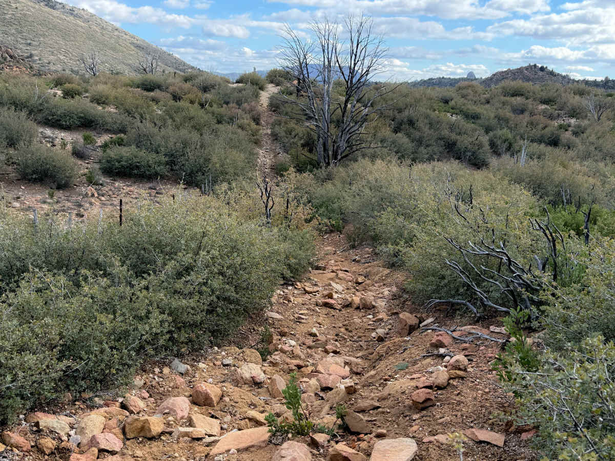 Merritt Spring Trail #9  photo 3