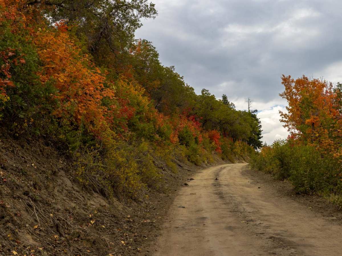 Water Hollow Road photo 5