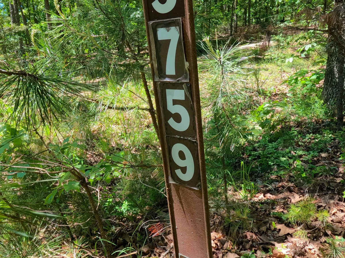 West Cane - FS 3759 trail photo