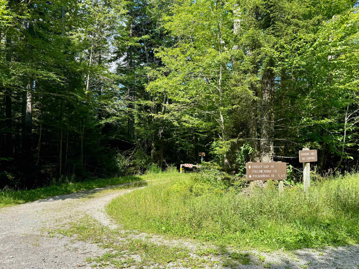 Dogway Road - FS 232 photo 4