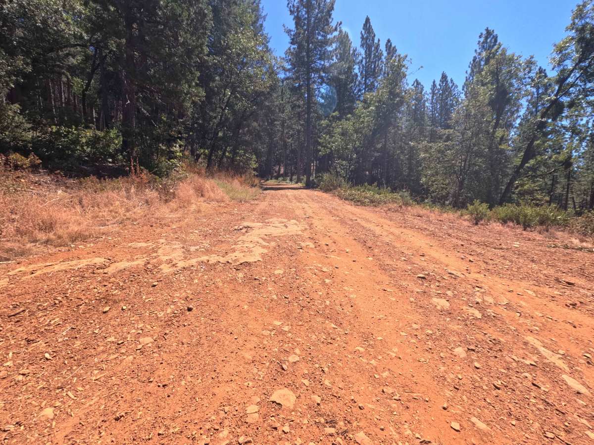 Pike CO Peak - FS 19N17 photo 5