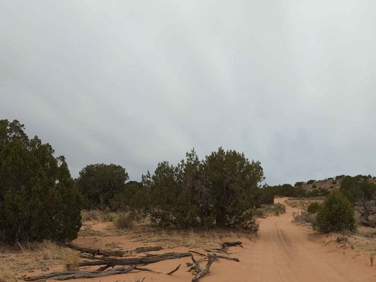 NM-1323 photo 3