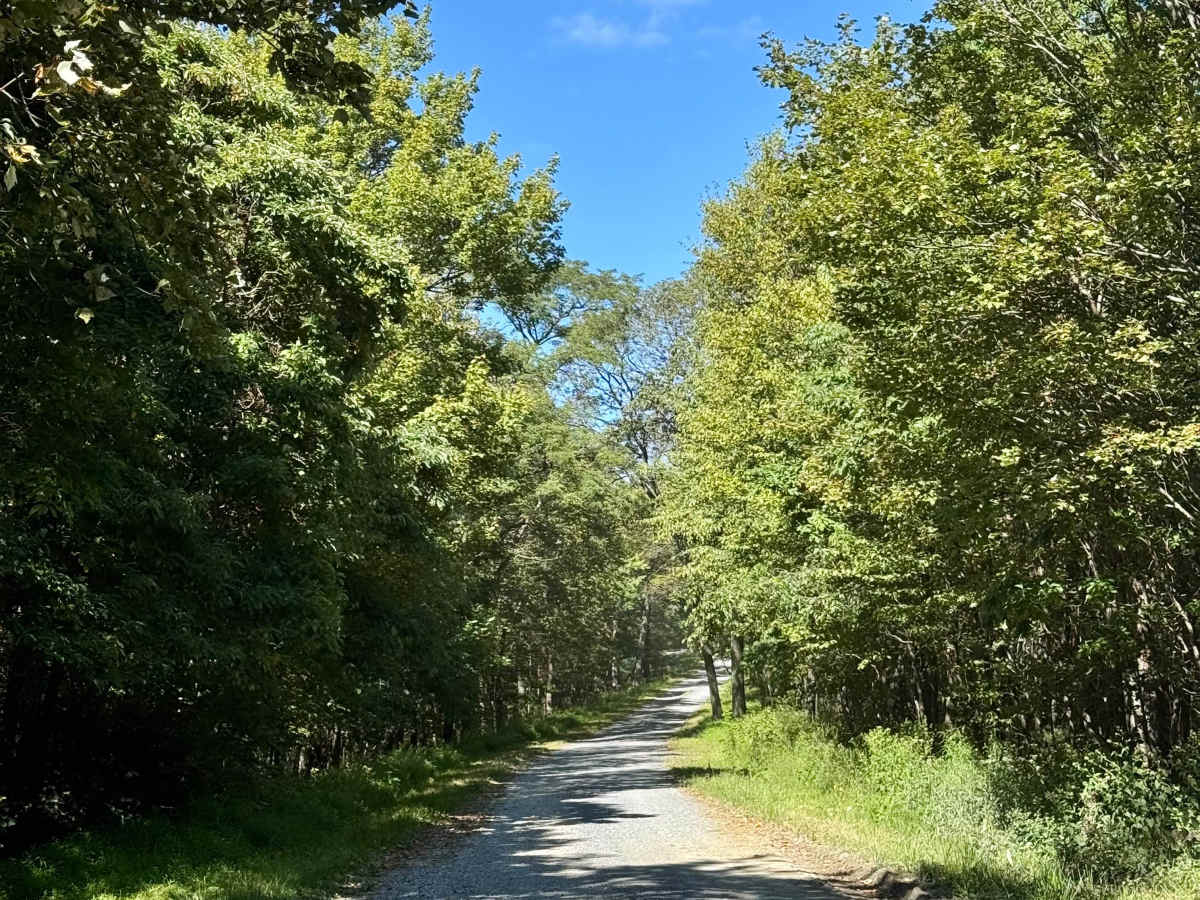 Broad Mountain Road photo 3