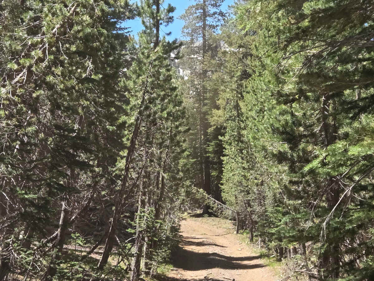 Perazzo Meadows photo 6