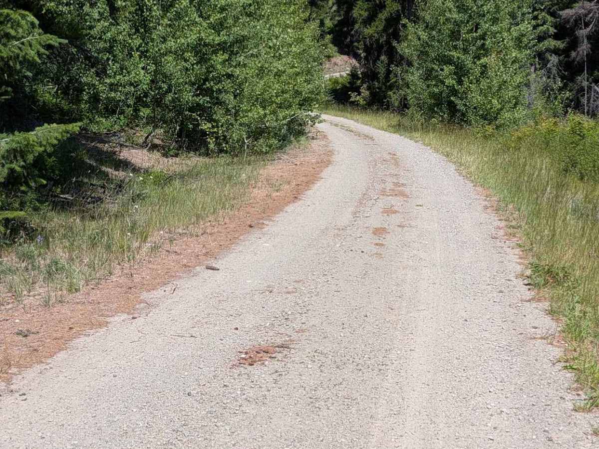 Gibson Creek Road photo 4