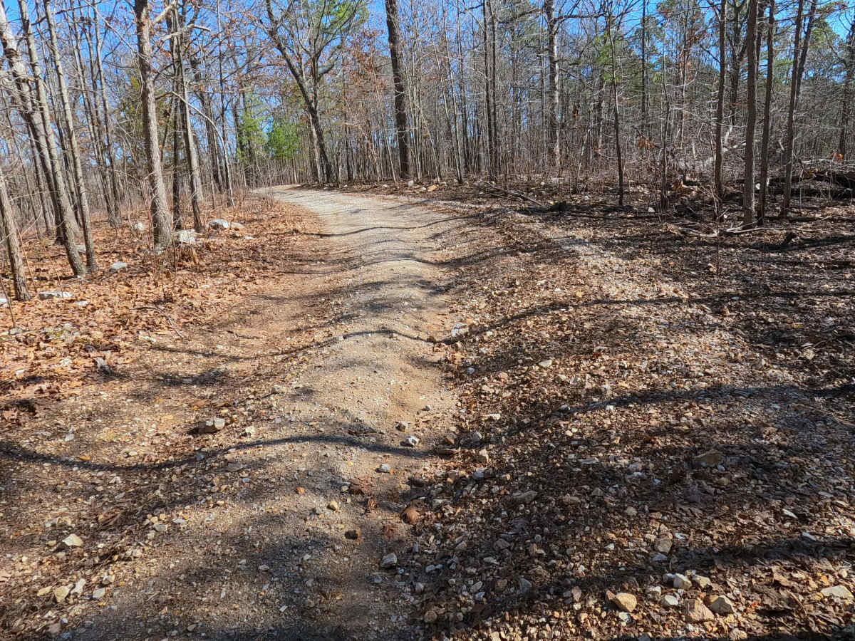 Shirley Ridge - FS 2628 photo 6