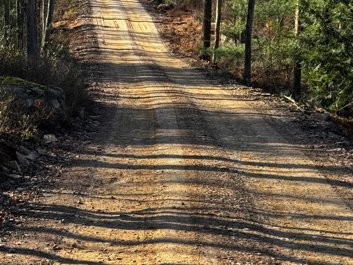 Bailer Run Trail photo 3