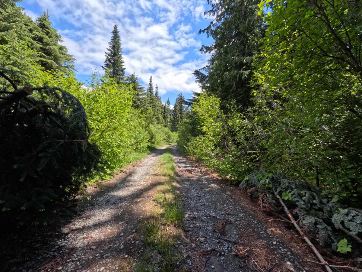 Barlow Butte Road - FS 3560 photo 3