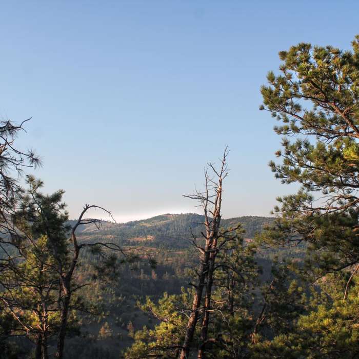 Near Lover's Leap Trail