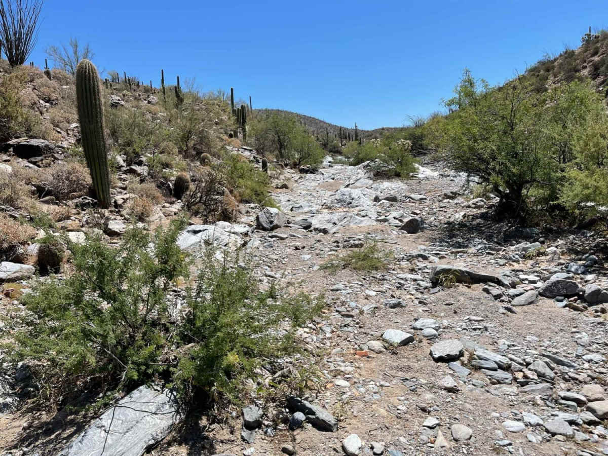 Lower Woody's Wash photo 3