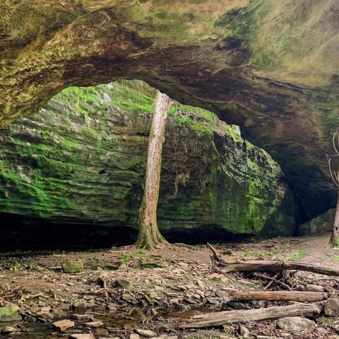 Near Mantle Rock Nature Preserve Near Mantle Rock Nature Preserve