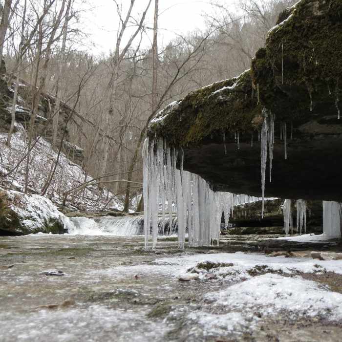 Near Red Trail