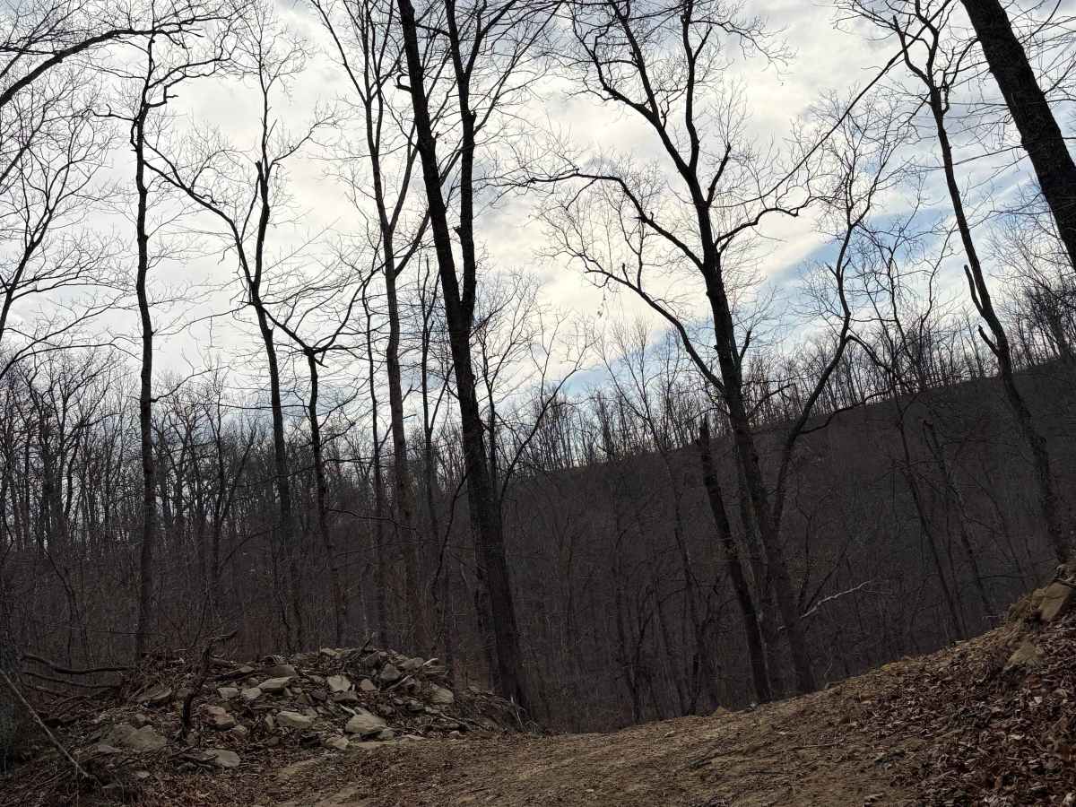 Trail 11 photo 3