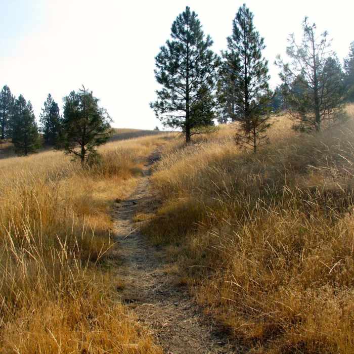 Near Mount Jumbo via the Tivoli Trail