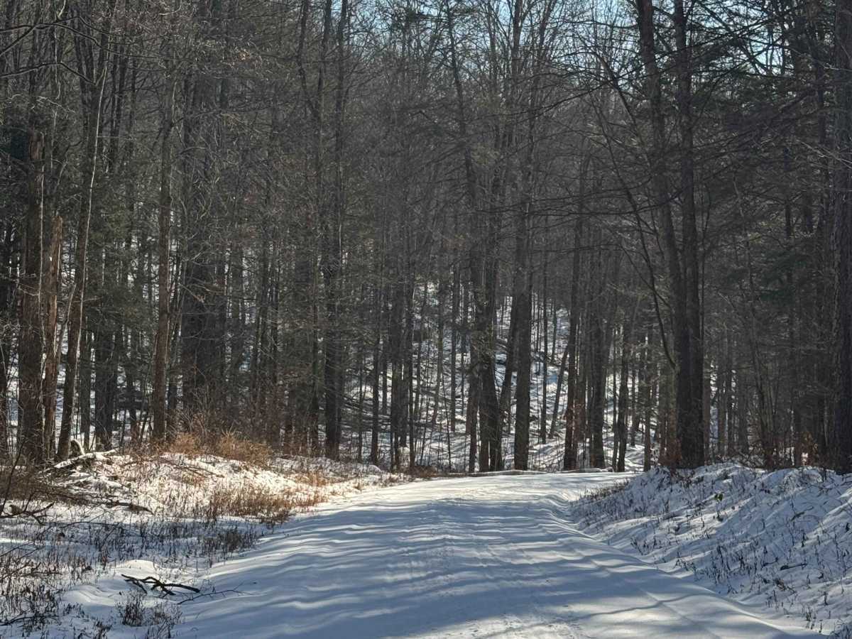 Big Hollow Road photo 4