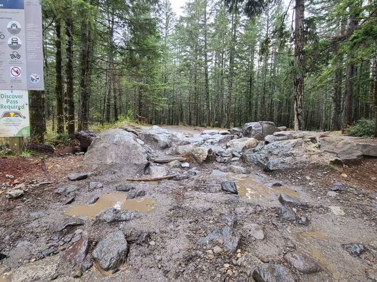 Tahuya Loop trail photo