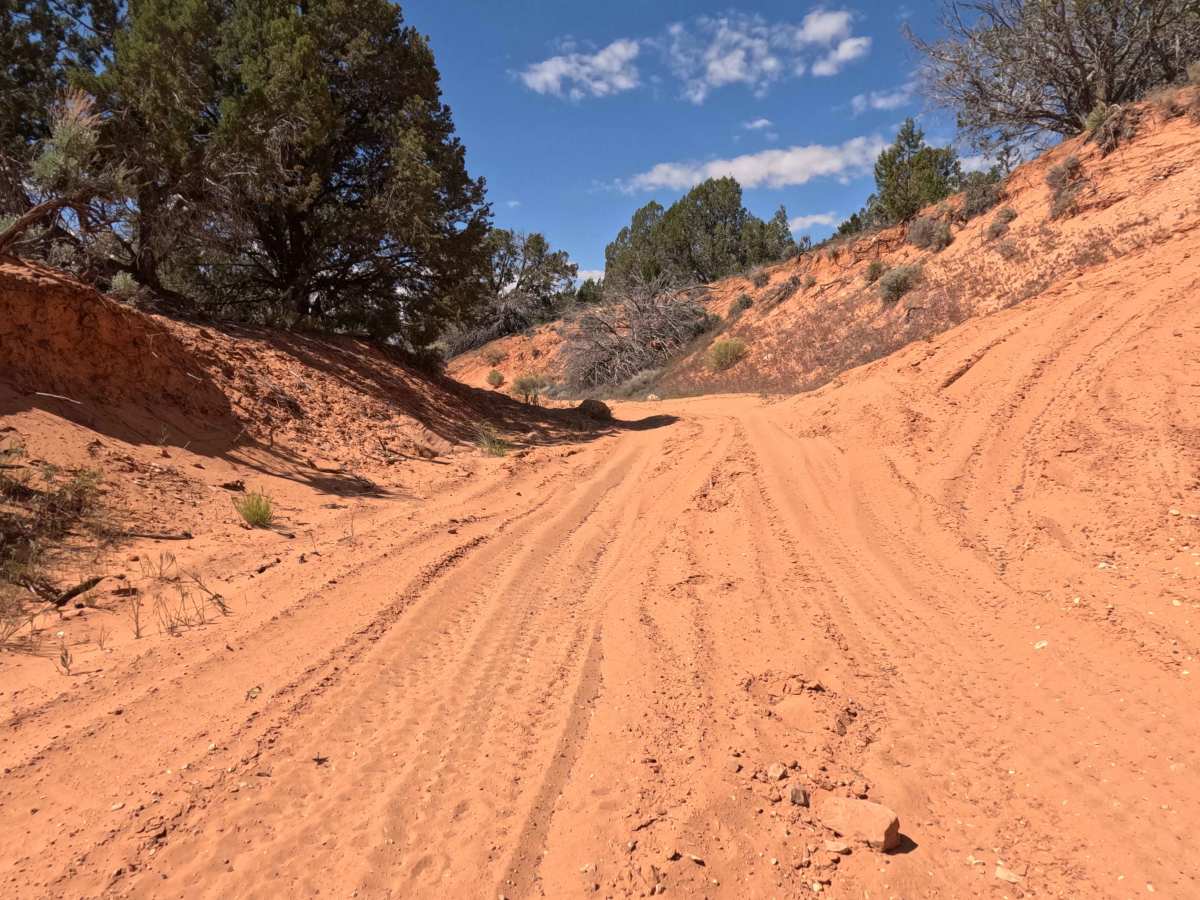 BLM 32k photo 3