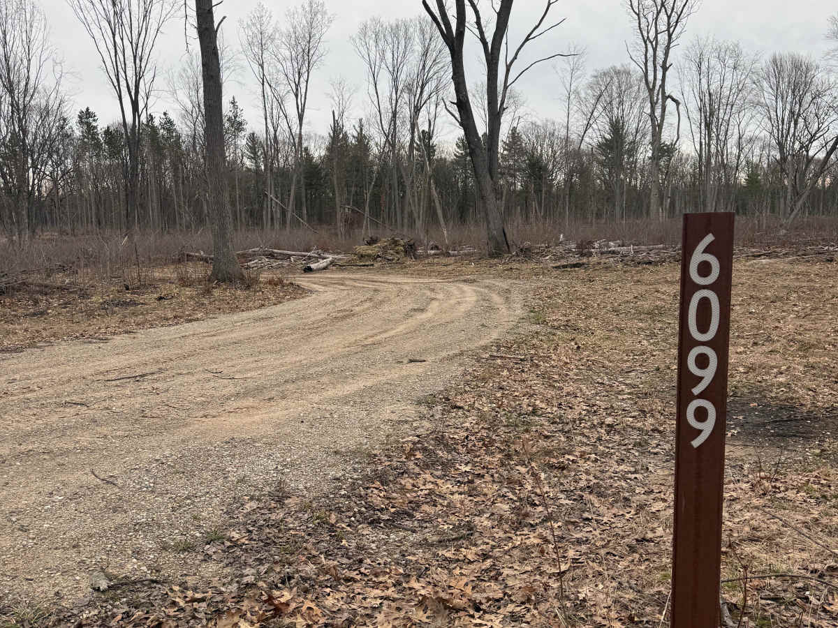 NFS 6099/6098/6100 trail photo