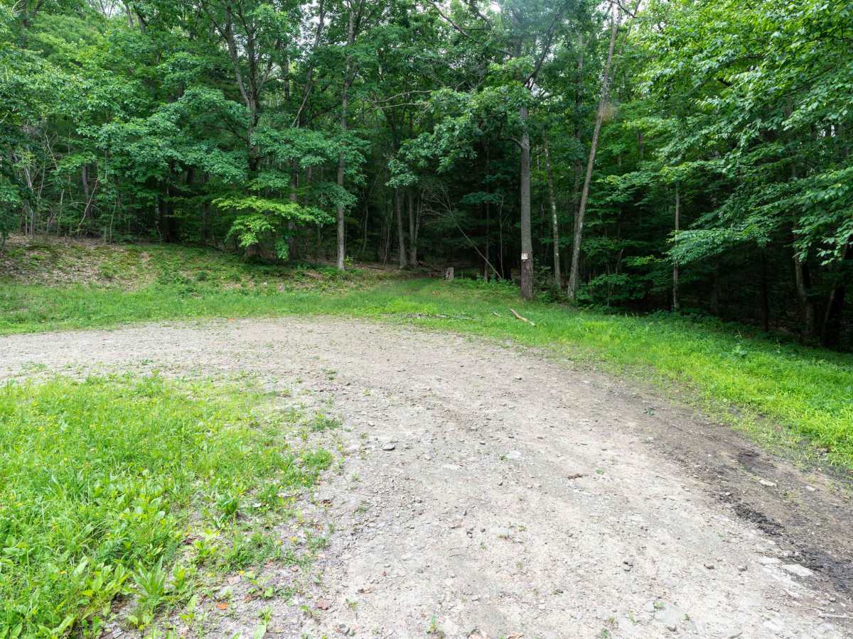 Left Fork Truck Trail photo 5