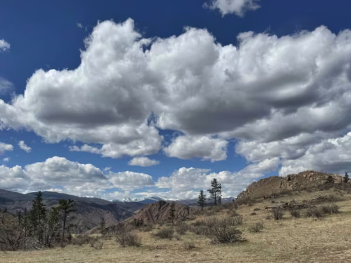 Swan Road trail photo