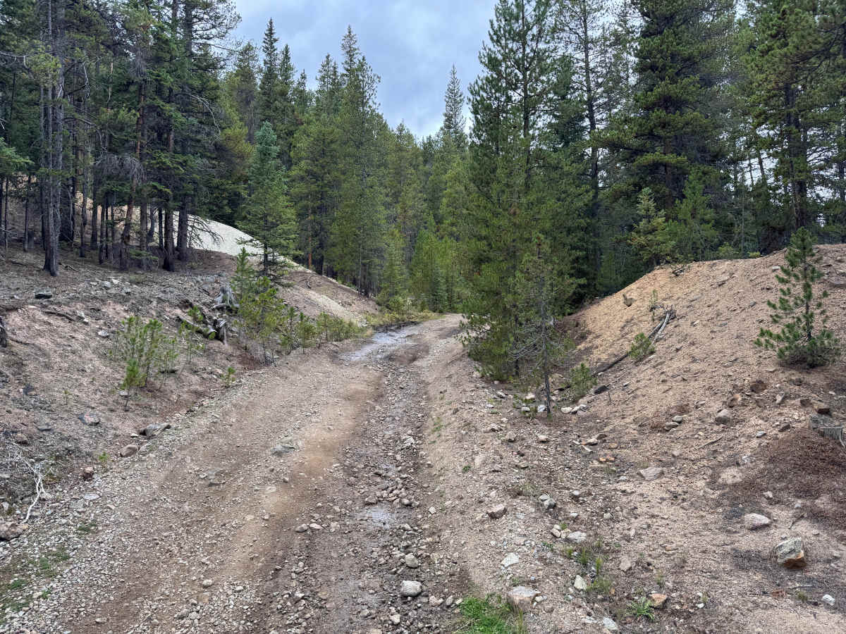 Kevin Gulch Road photo 3
