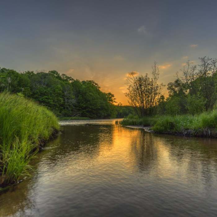 Near Manistee River Trail Loop Near Manistee River Trail Loop