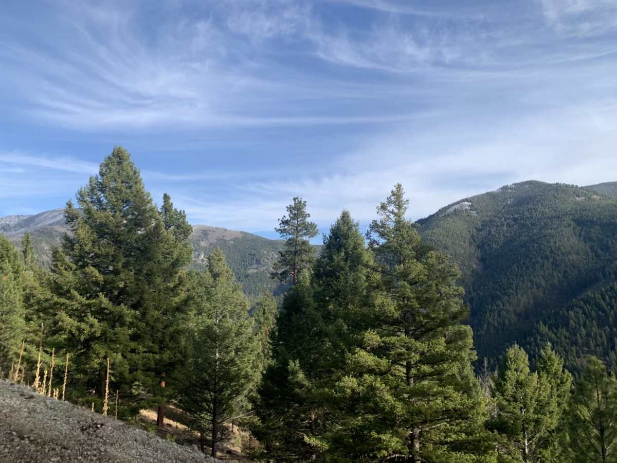 Slate Creek photo 3