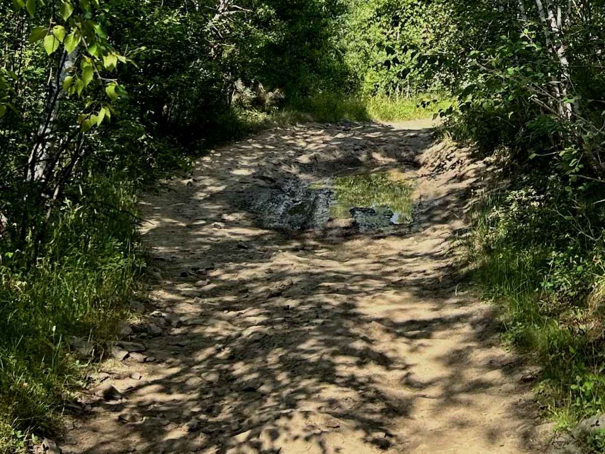 Ruby Gulch Branch - FS 738  photo 5