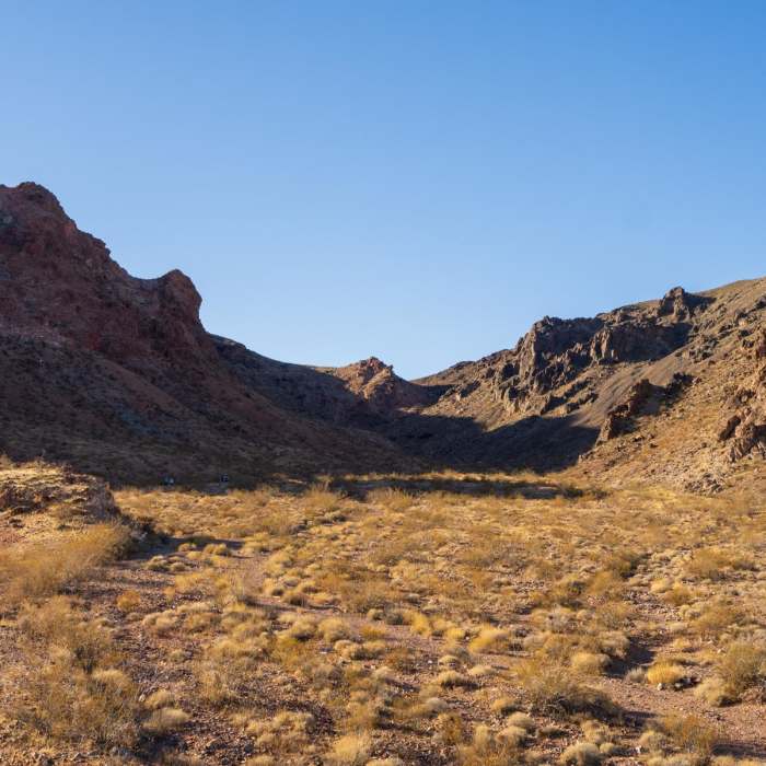 Near River Mountain Trail