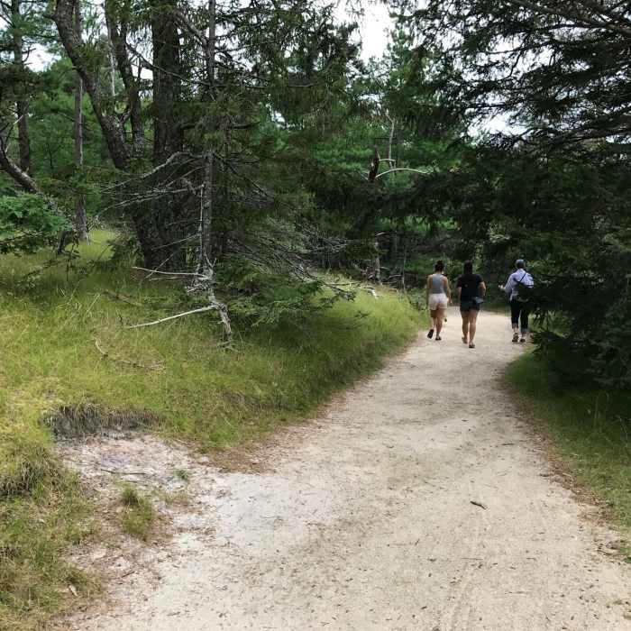 Near Wellfleet Audobon Loop