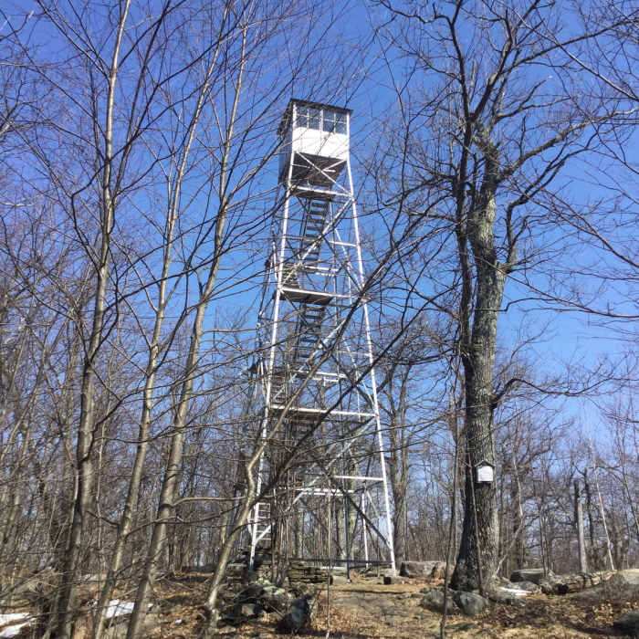 Near Mount Tremper Fire Tower Trail