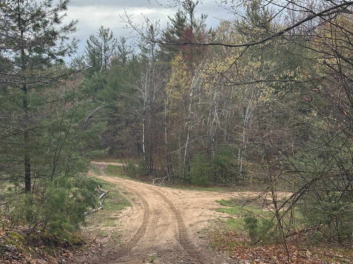 Hayesego Loop Around  photo 2