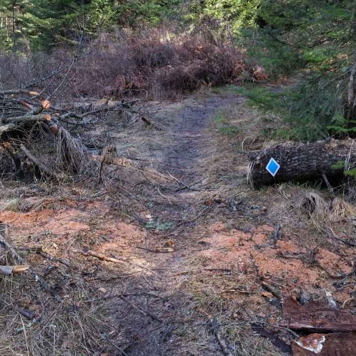 Near Blue Creek Bay Trail (Blue Trail)