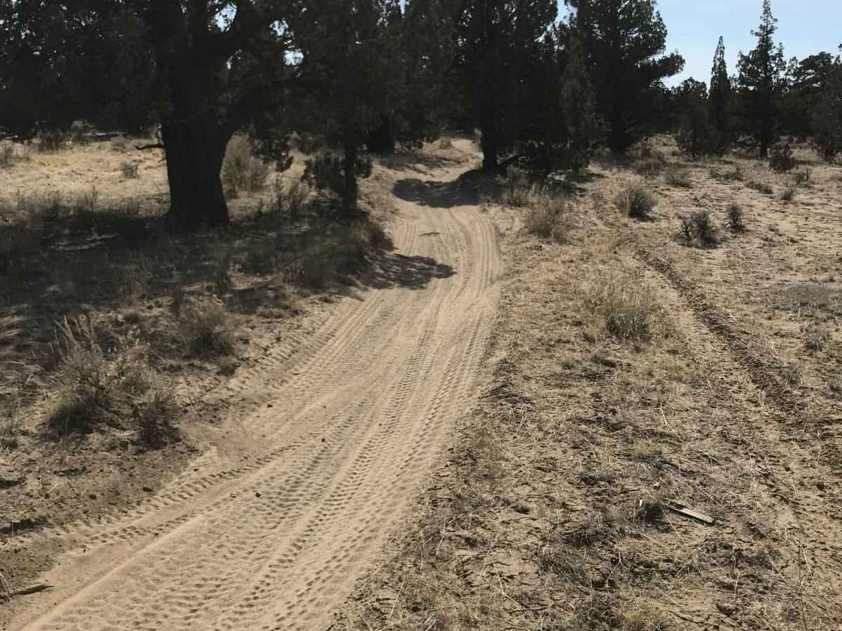 Millican Plateau Trail 84 photo 4