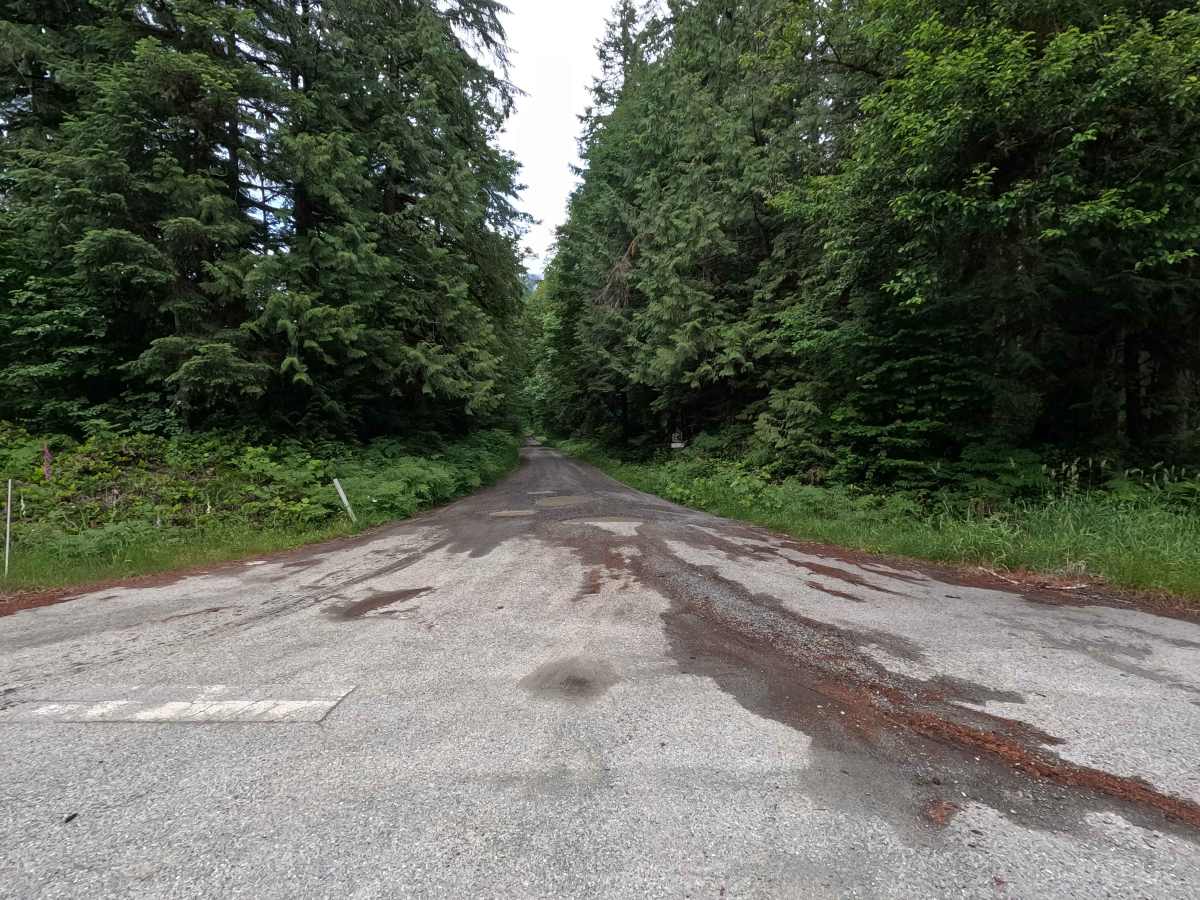 Sauk Mountain Road - FS 1036 trail photo