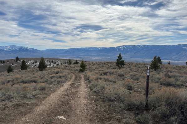 BLM Trail 136