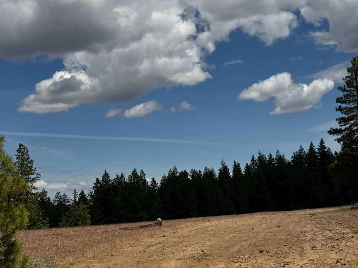 Rainier Road photo 4