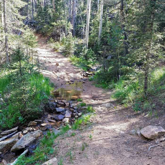 Near St. Mary Falls Trail (#624)