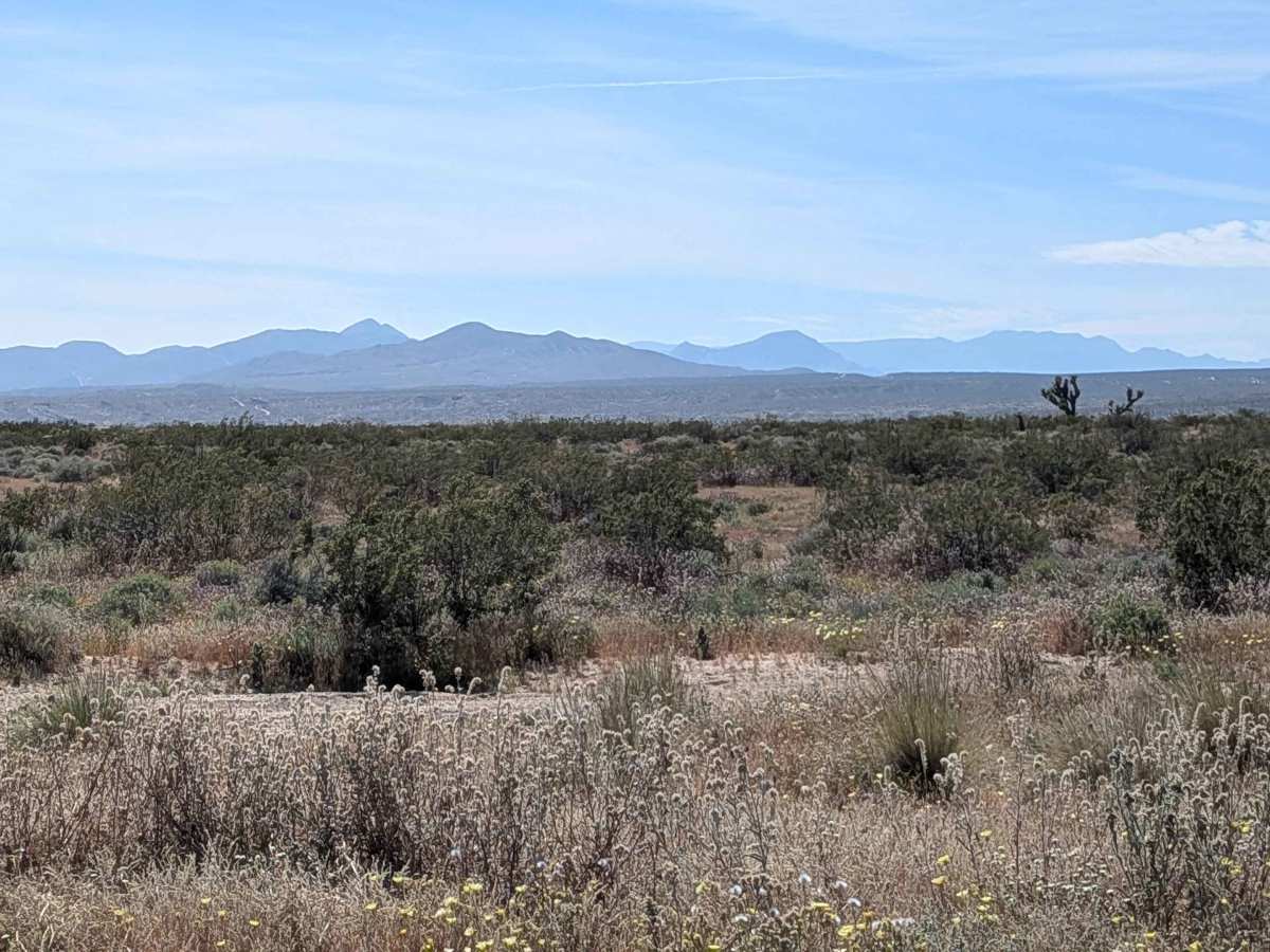 McIvers South Trailhead photo 4