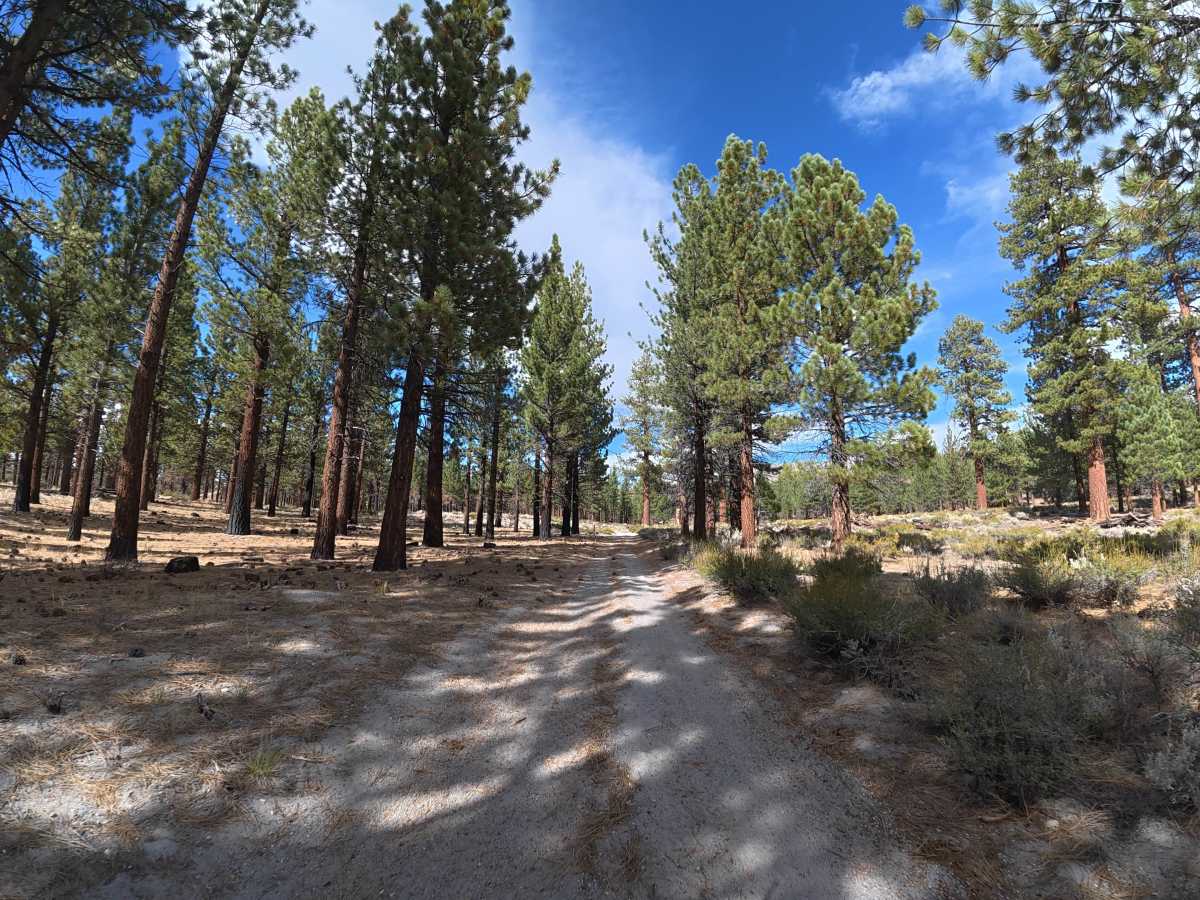 FS 1S120 trail photo